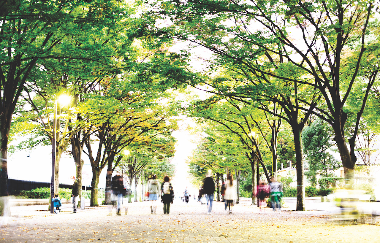 Park walk image
