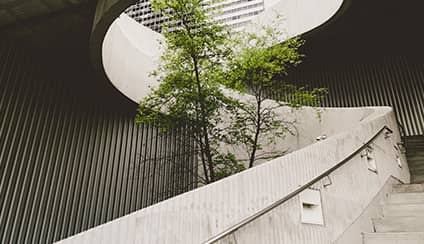 Spotlight on: Sustainability
