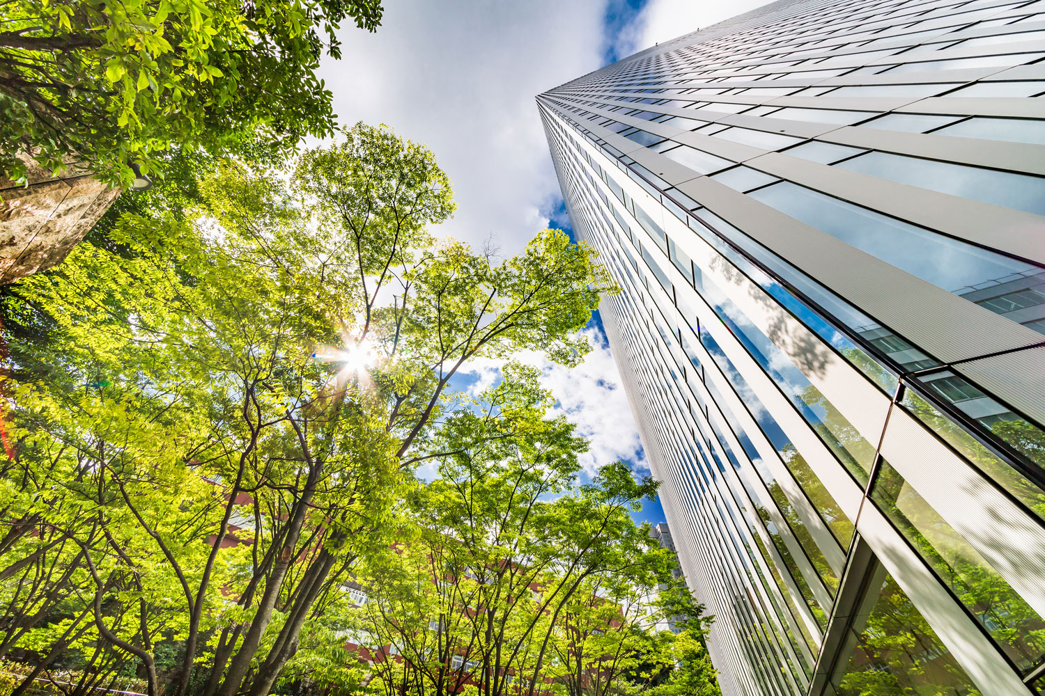 An image of a building and trees