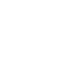 Surestop