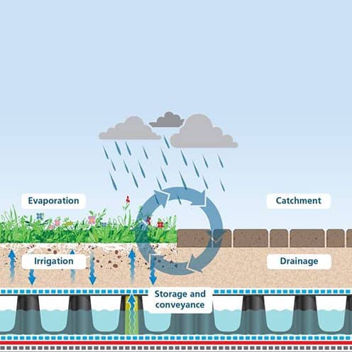 496x496px_sustainability-environment-biodiversity_biodiversity-net-gain