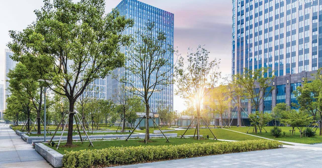 City gardens image