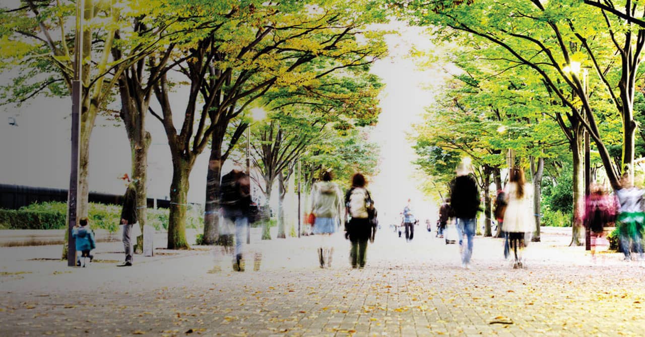 Park walk image