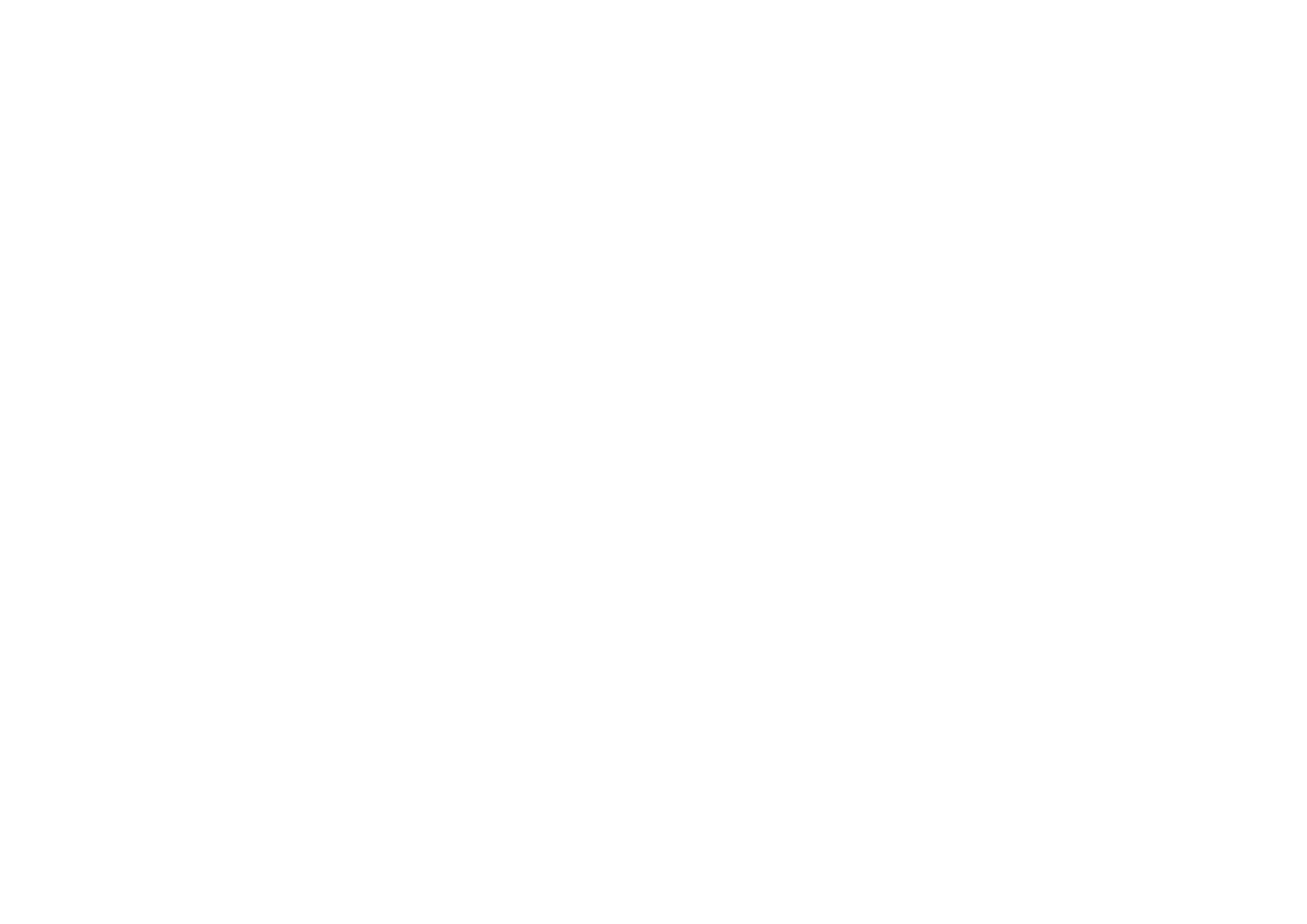 Timoleon OEM logo