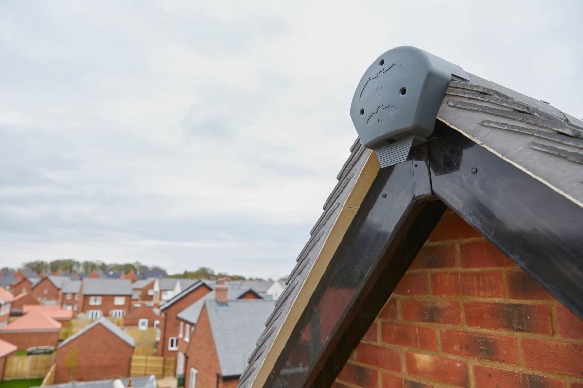 The Manthorpe Bat Ridge Roost