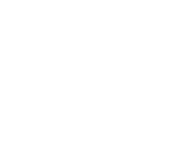 Davidson Holdings logo