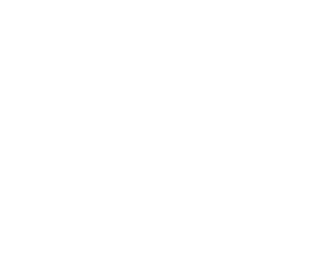 Effast logo