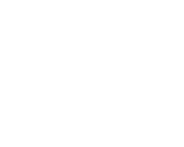 Talon logo